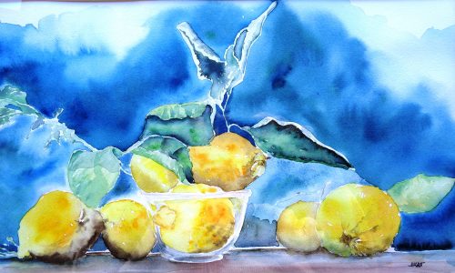 limoni 25x40